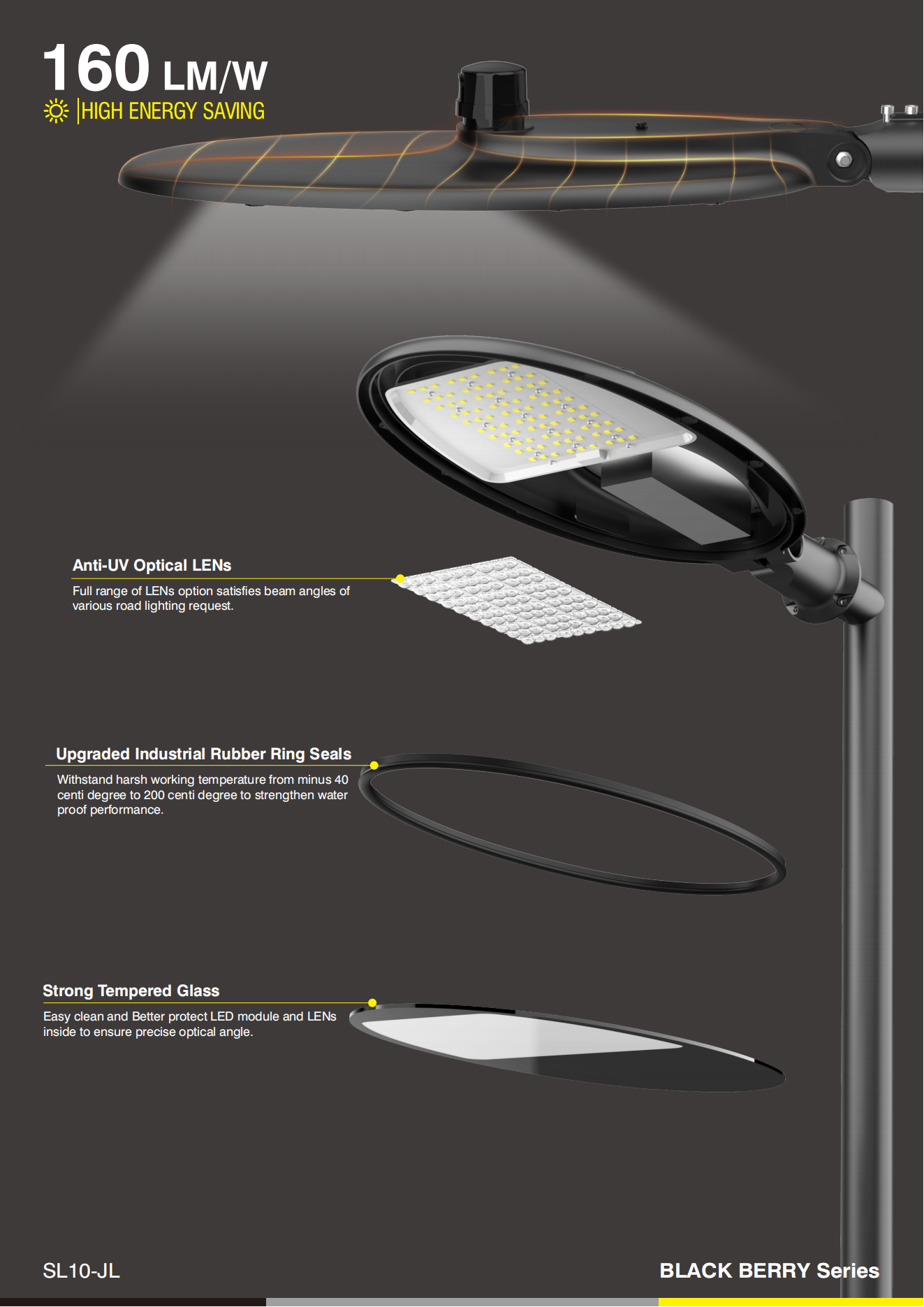 Series Black Berry Cobra Head Street Light