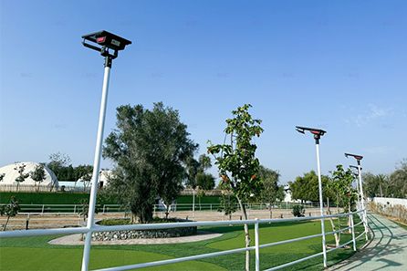 Solar Street Lights For Anavrin Equestrian Retreat Club In United Arab
